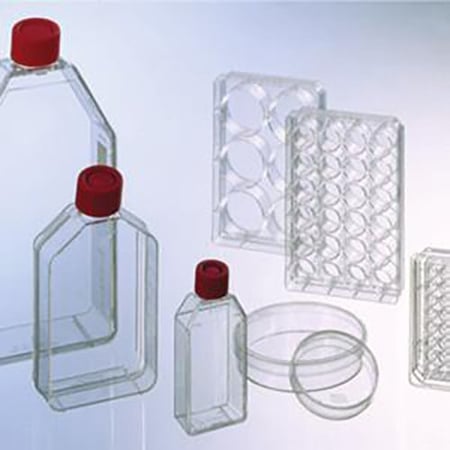 Greiner Bio-One - cellcoat protein coated labware poly l lysine